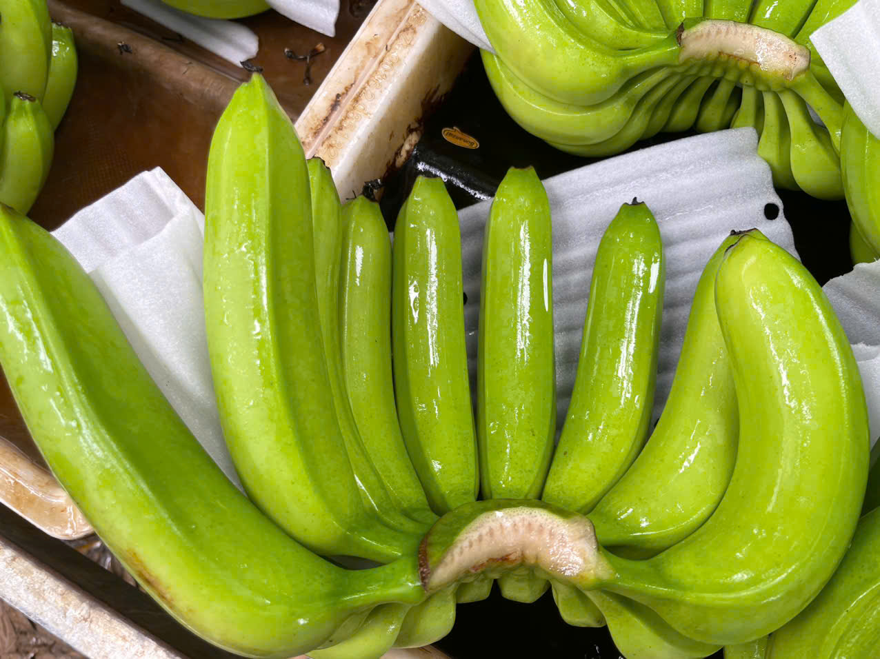 Banana (3)