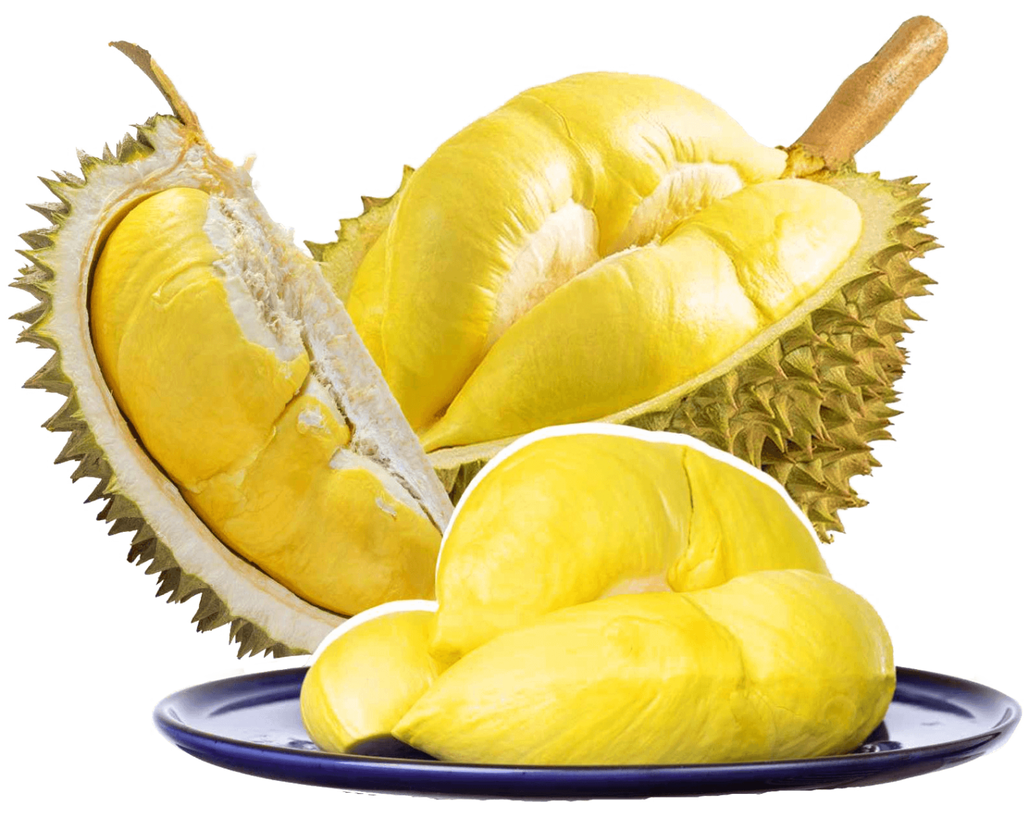 durian (2)