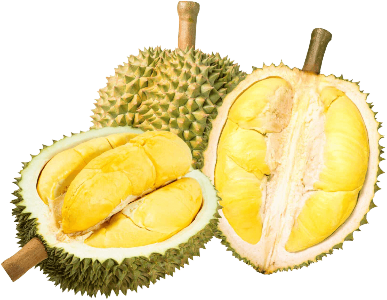 durian (3)